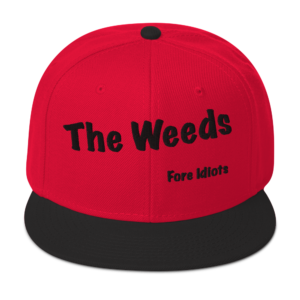 Snapback Hat
